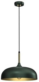 Lustră pe cablu Brilagi ABRAHAM 1xE27/60W/230V d. 35 cm verde