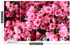 Fototapet roz Rhododendron