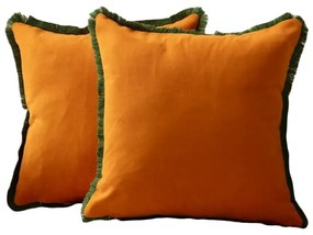 Fețe de pernă 2 buc. 43x43 cm Sacakli – Mioli Decor