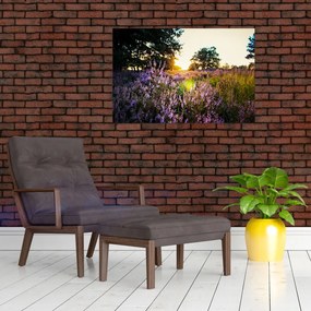 Tablou - Câmp cu lavandă (90x60 cm)