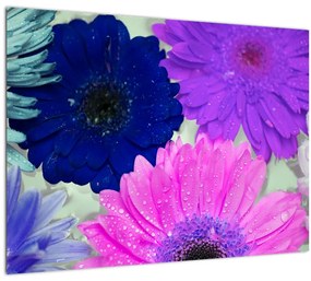 Tablou pe sticlă cu flori colorate (70x50 cm)