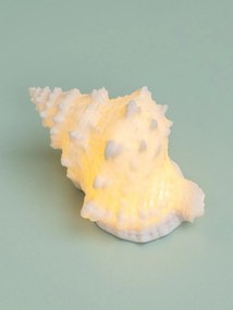 Lampa de masa in forma de melc , din rășină si pulbere de piatra, "Shell"