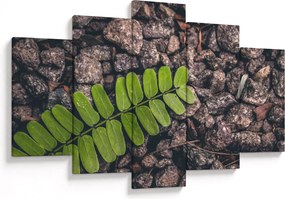 Tablou cu planta verde (150x105 cm)