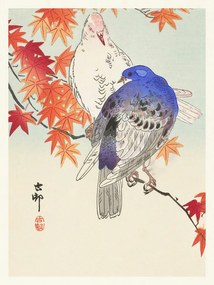 Reproducere Two Pigeons, Ohara Koson