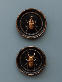 Decoratiune de perete din rasina, aspect vintage, Rhinoceros Beetle