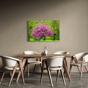 Tablou cu pom înflorit pe luncă (90x60 cm)