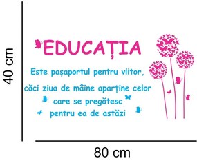 Sticker perete Educatia - Pasaport pentru viitor
