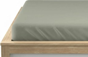 Cearsaf Jersey EXCLUSIVE verde-gri 90 x 200 cm