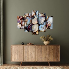 tablou cu scoici (150x105 cm)