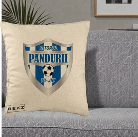 Perna Personalizata Pandurii Targu Jiu Fotbal, 40x40 cm, Bej, Husa Detasabila, Perna Inclusa, BEKZ®