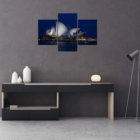 Tabloul Sydney nocturn (90x60 cm)