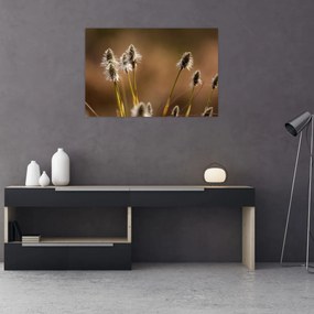 Tablou - Iarbă (90x60 cm)
