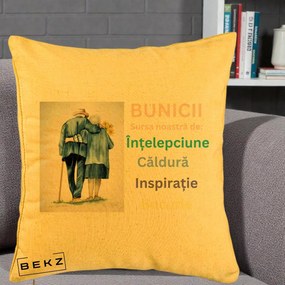 Cadou pentru Bunici - Perna Personalizata Bunicii Sursa Intelepciune Caldura Acuarela, 40x40 cm, Galben, Husa Detasabila, Perna Inclusa, BEKZ®