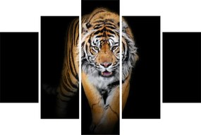 Tablou - Tiger (150x105 cm)