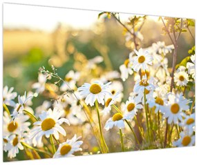 Tablou - Margarete (90x60 cm)