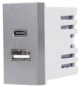 Modul Priza USB A+C 1M LUXION, Standard Italian