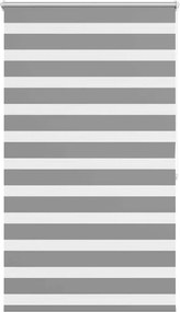 vidaXL Jaluzea Zebră 100,9x175 cm Lățime material 96,7 cm gri