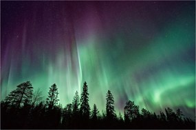 Tablou cu Northern Lights (90x60 cm)