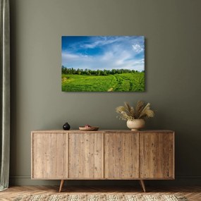 Tablou cu luncă (90x60 cm)