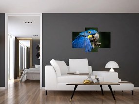 Tablou cu papagal (90x60 cm)