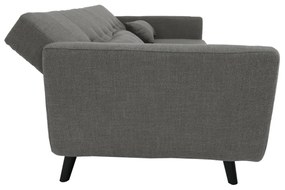 Canapea extensibilă, gri, ARKADIA+C328