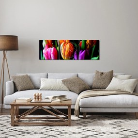 Tablou -Lalele pe fond negru (cu ceas) (90x30 cm)