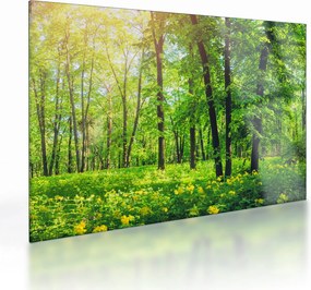Tablou pe sticlă - Pădurea cu frunze de primăvară (70x50 cm)