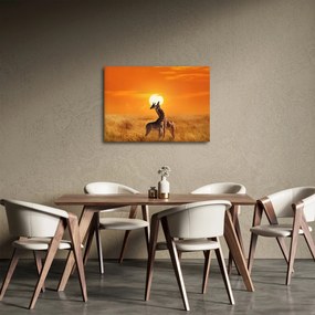 Tablou - Girafe în Parcul Național Serengeti (70x50 cm)