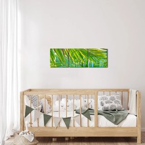 Tablou - Frunze de palmier (cu ceas) (90x30 cm)