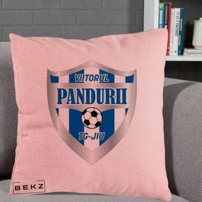 Perna Personalizata Pandurii Targu Jiu Fotbal, 40x40 cm, Roz, Husa Detasabila, Perna Inclusa, BEKZ®