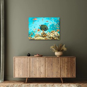 Tablou lumii submarine (70x50 cm)