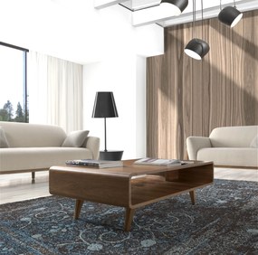 Masuta eleganta design deosebit Hedwig AC-PT6009