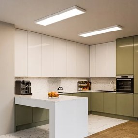 Panou LED aplicat 60 W, 230 V, 30 x 120 cm, alb