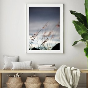 Poster - Detailu de ierburi de apă (A4)