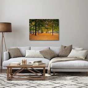 Tablou cu alee cu copaci în toamnă (70x50 cm)