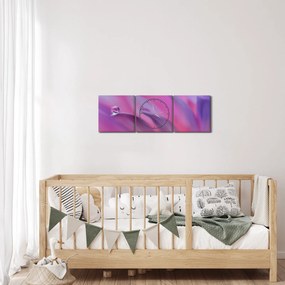 Tablou - Picătură pe floare (cu ceas) (90x30 cm)