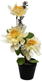 Floare decorativă în ghiveci flori albe