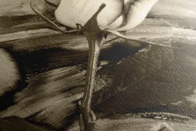Tablou trandafir în design sepia