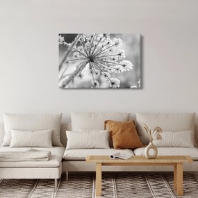 Tablou - Floare în timpul iernii (90x60 cm)