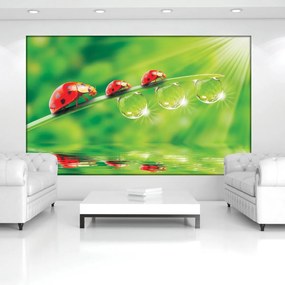 Fototapet - Flori (254x184 cm)