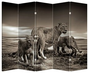 Paravan - Leii alb negri (210x170 cm)
