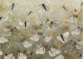 Tablou - Vintege fluturi (70x50 cm)
