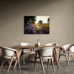 Tablou pe sticlă - Câmp cu lavandă (70x50 cm)