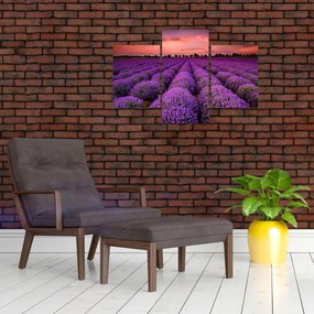 Tablou - Câmp de lavandă (90x60 cm)