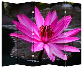 Paravan - Floarea roz (210x170 cm)