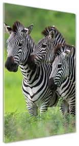 Tablou Printat Pe Sticlă trei zebre