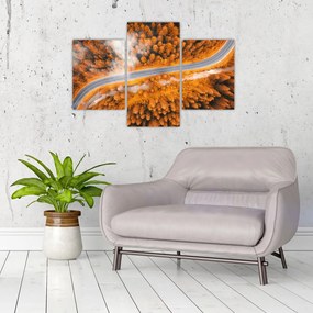 Tablou - Strada montană (90x60 cm)