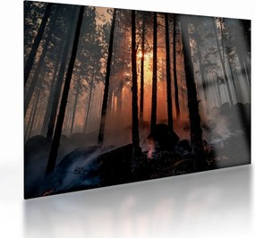 Tablou pe sticlă cu pădure întunecată (70x50 cm)
