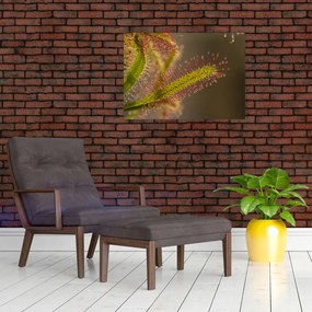 Tablou cu plantă (70x50 cm)