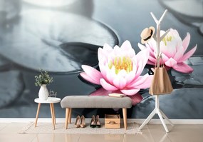 Fototapet autoadeziv floare de lotus în lac